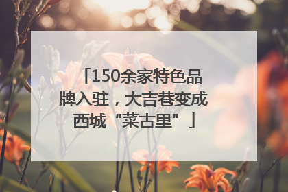 150余家特色品牌入驻，大吉巷变成西城“菜古里”