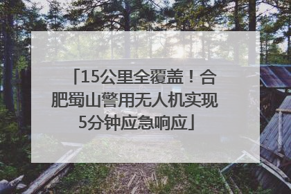 15公里全覆盖！合肥蜀山警用无人机实现5分钟应急响应