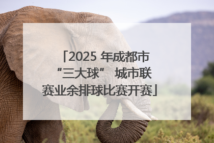 2025 年成都市 “三大球” 城市联赛业余排球比赛开赛