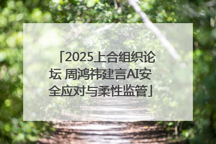 2025上合组织论坛 周鸿祎建言AI安全应对与柔性监管
