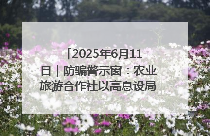 2025年6月11日｜防骗警示窗：农业旅游合作社以高息设局，集资380万