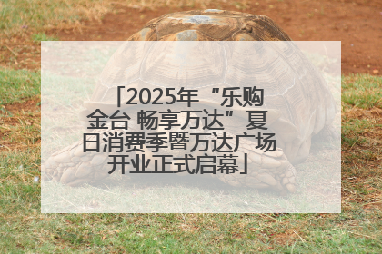 2025年“乐购金台 畅享万达”夏日消费季暨万达广场开业正式启幕
