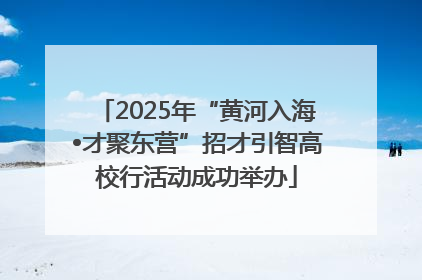 2025年“黄河入海•才聚东营”招才引智高校行活动成功举办