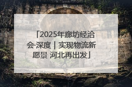 2025年廊坊经洽会·深度｜实现物流新愿景 河北再出发