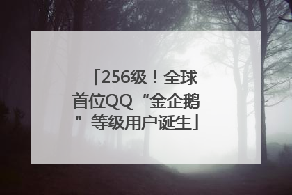 256级！全球首位QQ“金企鹅”等级用户诞生