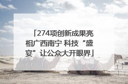 274项创新成果亮相广西南宁 科技“盛宴”让公众大开眼界