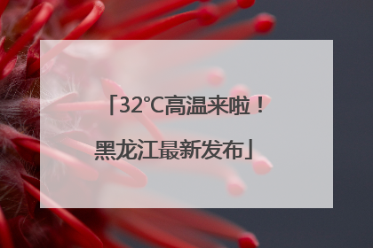 32℃高温来啦！黑龙江最新发布