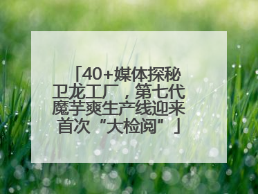 40+媒体探秘卫龙工厂，第七代魔芋爽生产线迎来首次“大检阅”