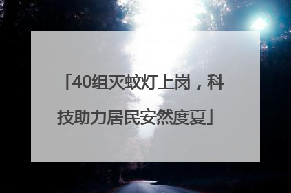 40组灭蚊灯上岗，科技助力居民安然度夏