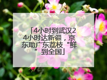 4小时到武汉24小时达新疆，京东助广东荔枝“鲜”到全国