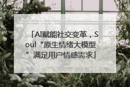 AI赋能社交变革，Soul“原生情绪大模型”满足用户情感需求